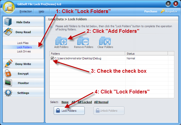 GiliSoft File Lock Pro settings interface