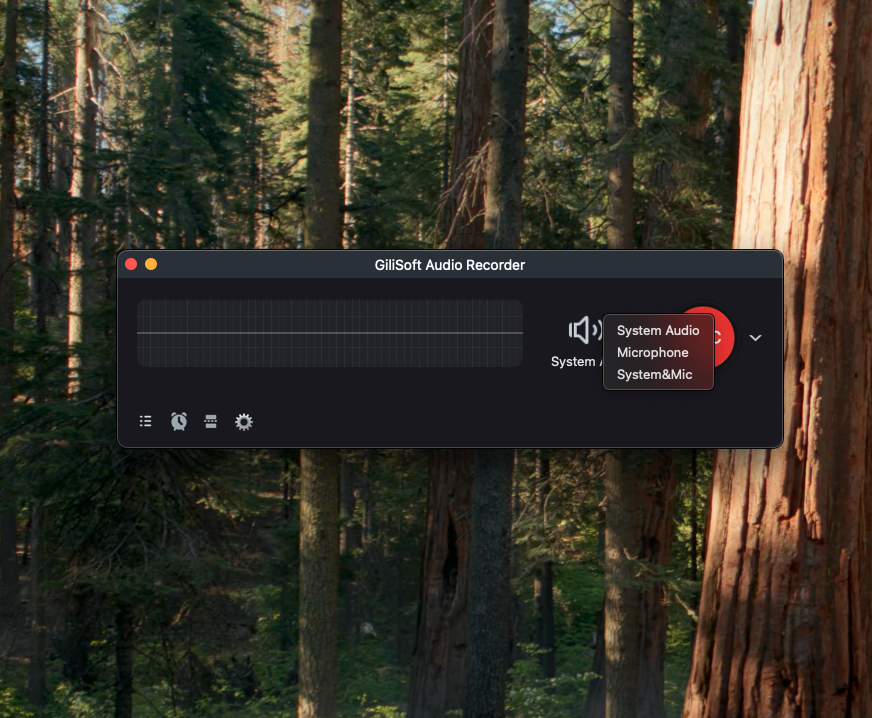 Select System Audio for direct Mac computer sound.