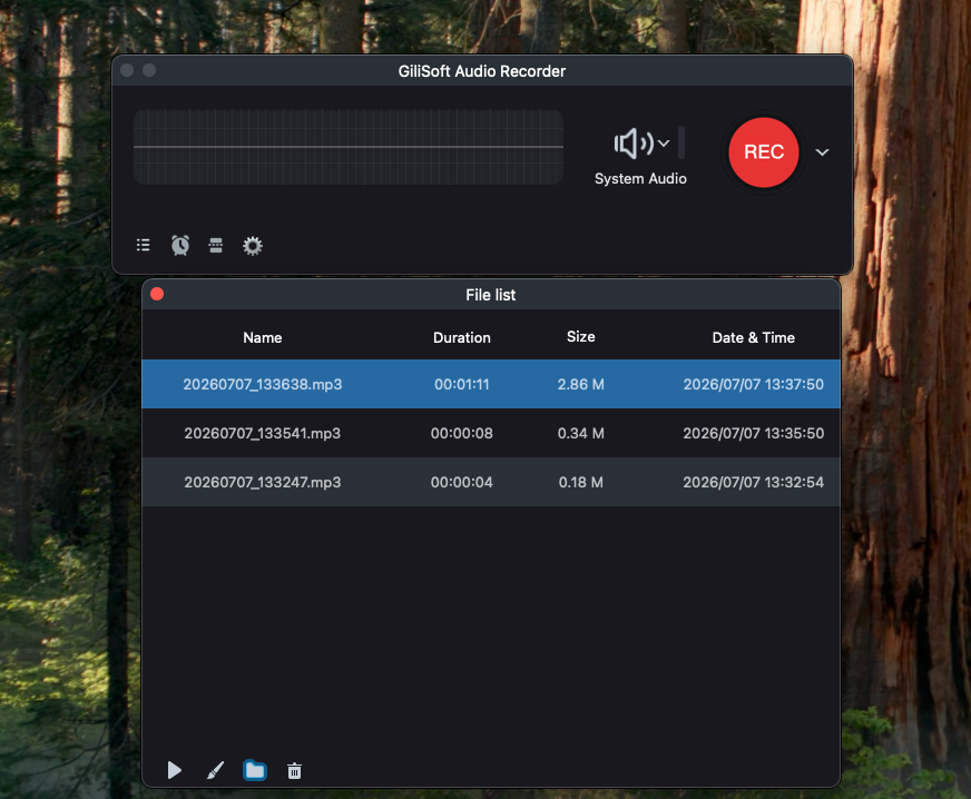 Review duration, size, date, and saved system-audio recordings in the file list.