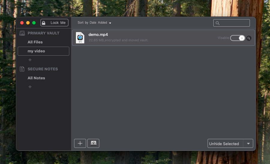 Selected file stored in the Mac vault