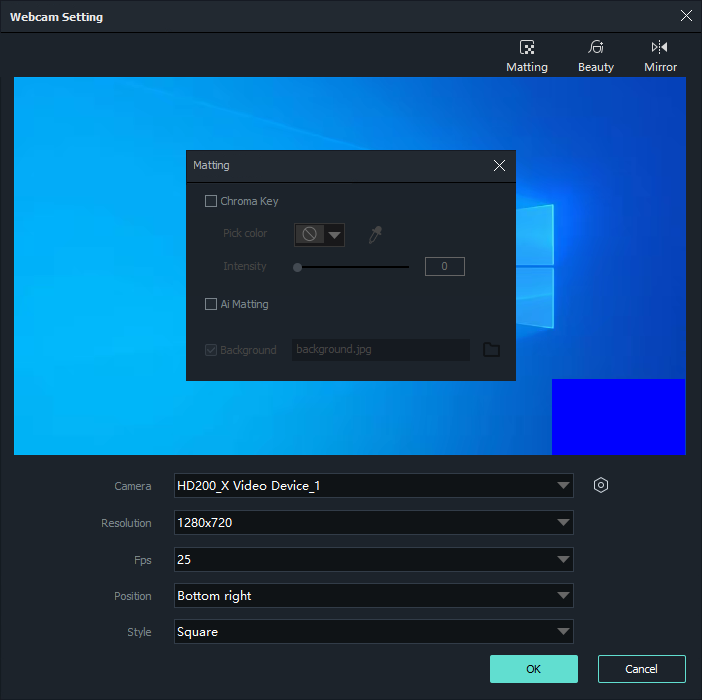 Webcam background removal virtual background and green screen controls